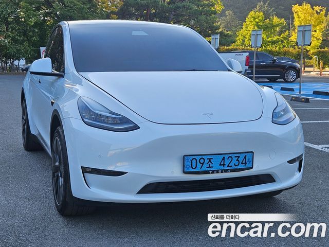 Tesla Model Y Standard Range RWD 2021 — фото 2