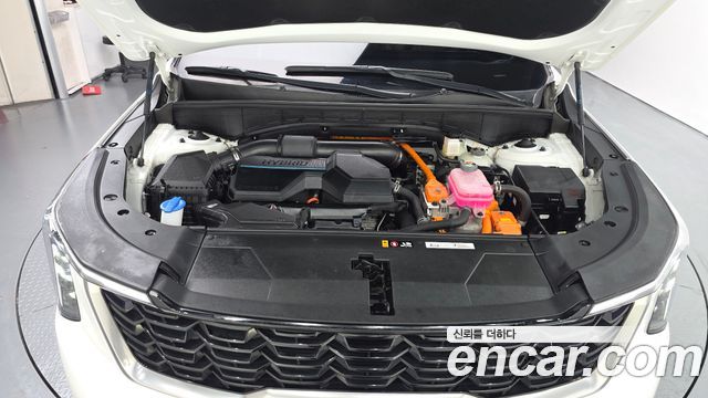 Kia Sorento (IV) HEV 1.6 2WD Prestige 2024 — фото 6