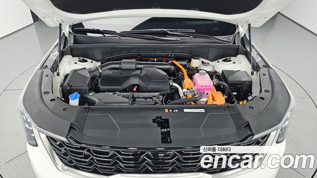 Kia Sorento (IV) HEV 1.6 2WD Noblesse 2026 — фото 6