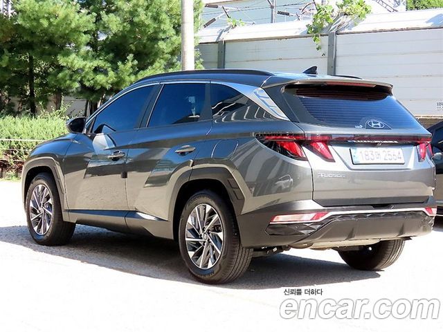 Hyundai Tucson (NX4) Gasoline 1.6 Turbo 2WD Premium 2023 — фото 3