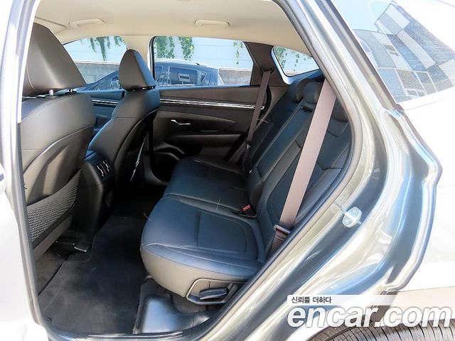 Hyundai Tucson (NX4) Gasoline 1.6 Turbo 2WD Premium 2023 — фото 6