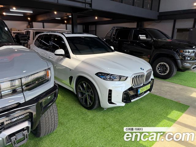 BMW X5 (G05) xDrive 30d M Sport 2025 — фото 24