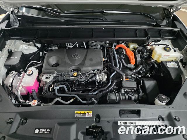Toyota Highlander (IV) 2.5 4WD Platimum 2025 — фото 9