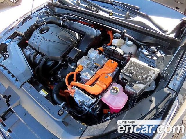 Kia K5 Hybrid (III) Noblesse 2022 — фото 23