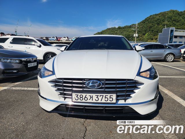 Hyundai Sonata (DN8) 2.0 LPG(rental car) Style