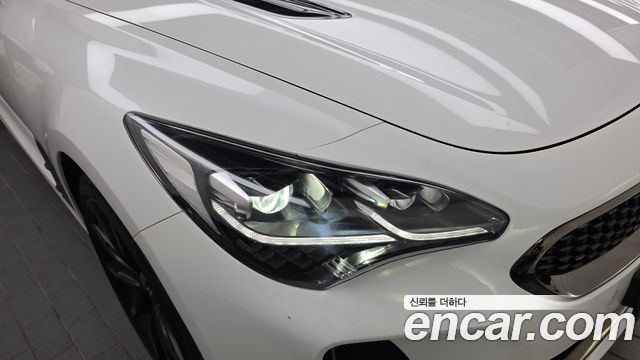 Kia Stinger Meister 2.5 AWD Masters 2021 — фото 22