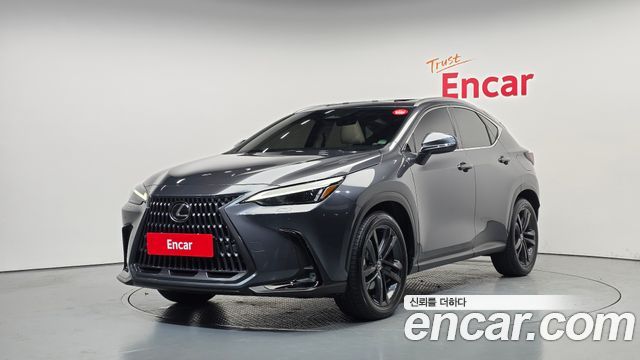 Lexus NX350h (II) Premium