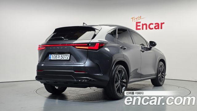 Lexus NX350h (II) Premium 2025 — фото 2