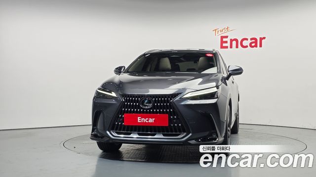 Lexus NX350h (II) Premium 2025 — фото 3