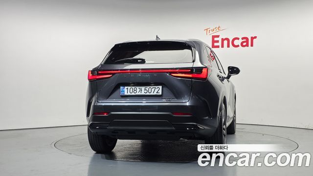Lexus NX350h (II) Premium 2025 — фото 4