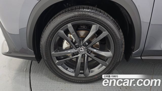 Lexus NX350h (II) Premium 2025 — фото 5