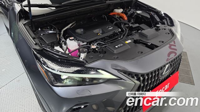 Lexus NX350h (II) Premium 2025 — фото 6