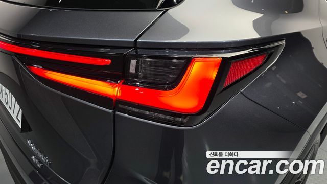 Lexus NX350h (II) Premium 2025 — фото 23