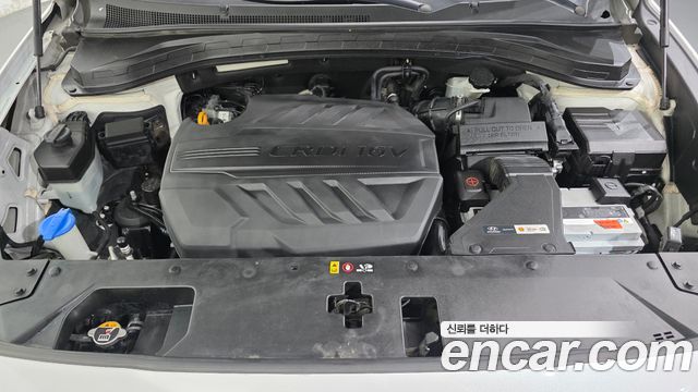 Hyundai Santa Fe (TM) Diesel 2.0 2WD Exclusive 2020 — фото 6