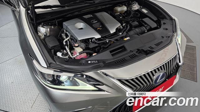 Lexus ES300h (VII) Luxury Plus 2019 — фото 6