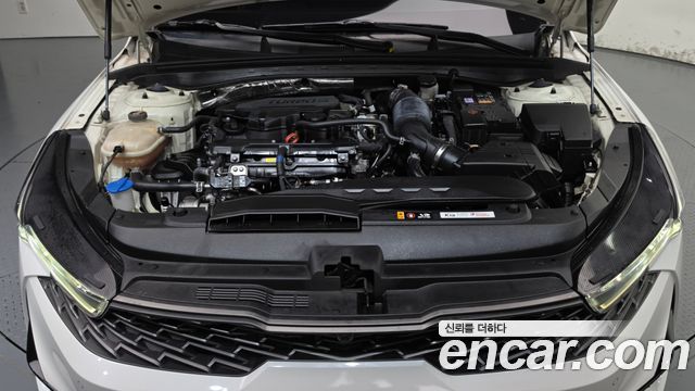 Kia K5 (III) 1.6 Turbo Noblesse 2023 — фото 6