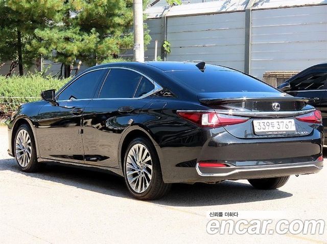 Lexus ES300h (VII) Executive 2024 — фото 3