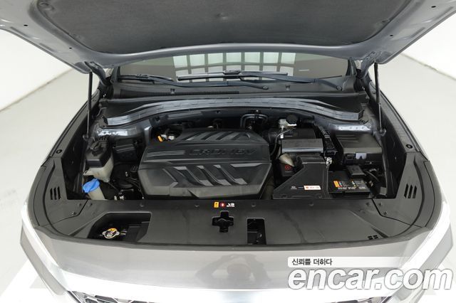 Hyundai Santa Fe (TM) Diesel 2.0 2WD Prestige 2020 — фото 20