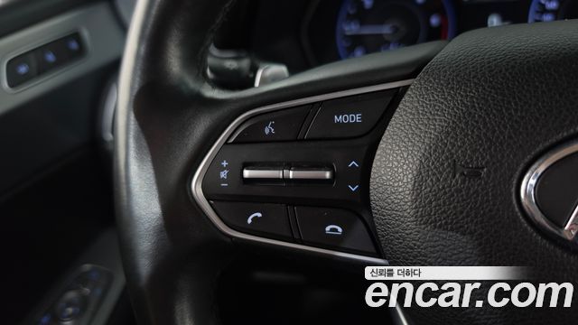 Hyundai Palisade Diesel 2.2 4WD Exclusive 2019 — фото 16