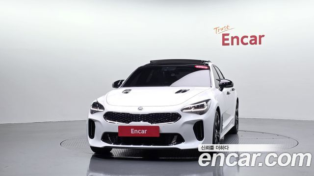 Kia Stinger 2.0 Turbo 2WD Platinum 2019 — фото 3
