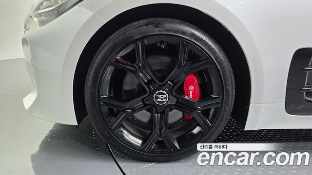 Kia Stinger 2.0 Turbo 2WD Platinum 2019 — фото 5