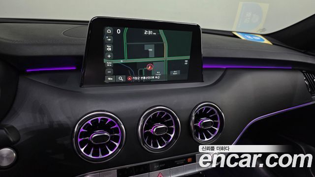Kia Stinger 2.0 Turbo 2WD Platinum 2019 — фото 14