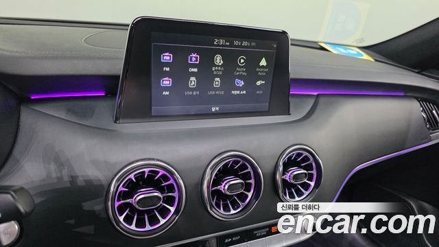 Kia Stinger 2.0 Turbo 2WD Platinum 2019 — фото 15