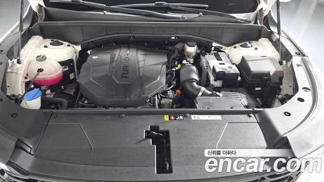 Kia Sorento (IV) Diesel 2.2 4WD Noblesse 2024 — фото 6