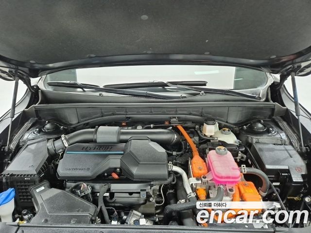 Kia Sorento (IV) HEV 1.6 2WD Signature 2024 — фото 5