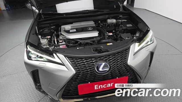 Lexus UX250h 2.0 F-Sport 2WD 2021 — фото 6