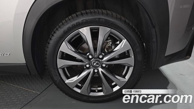 Lexus UX250h 2.0 F-Sport 2WD 2021 — фото 21
