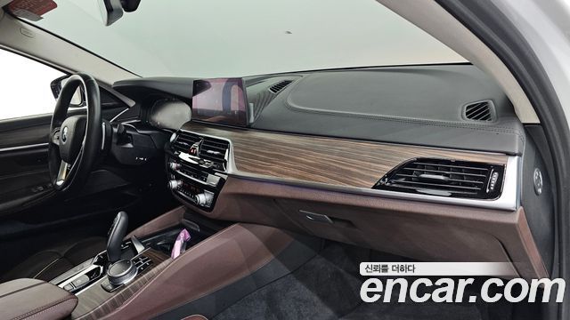 BMW 5 Series (G30) 530e Luxury 2020 — фото 28