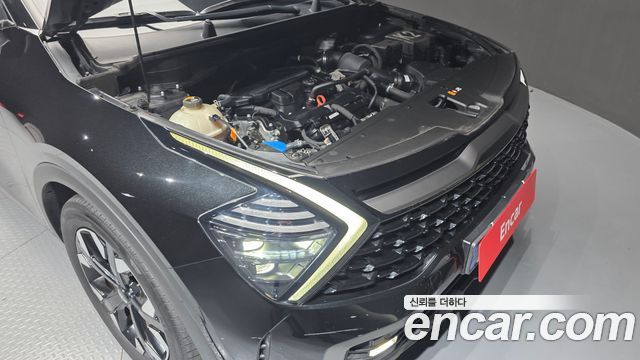 Kia Sportage (V) Gasoline 1.6 Turbo 4WD Nobleless Gravity 2023 — фото 6