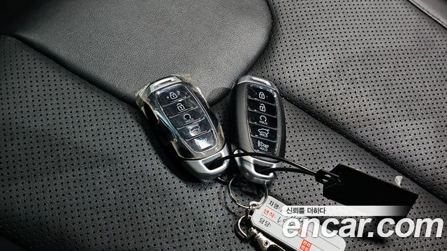 Hyundai Santa Fe (TM) Diesel 2.0 2WD Exclusive 2020 — фото 17