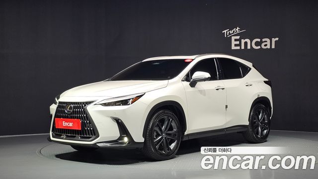 Lexus NX350h (II) Premium