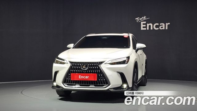 Lexus NX350h (II) Premium 2024 — фото 3