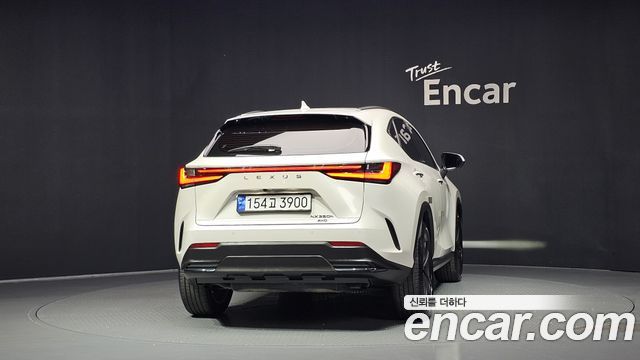 Lexus NX350h (II) Premium 2024 — фото 4