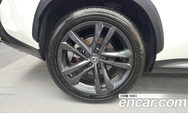 Lexus NX350h (II) Premium 2024 — фото 5