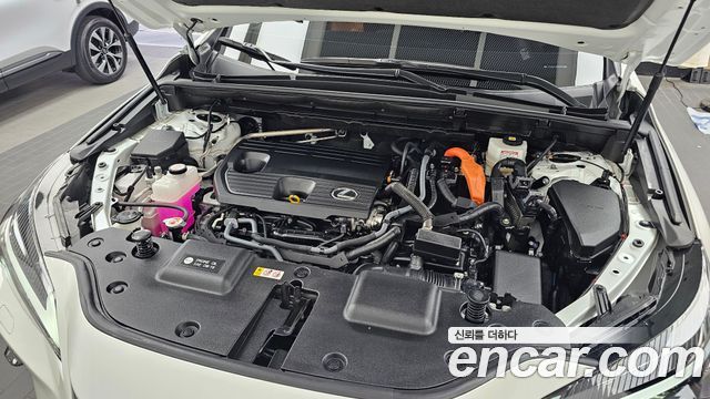 Lexus NX350h (II) Premium 2024 — фото 6