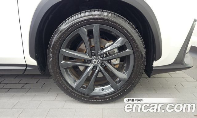 Lexus NX350h (II) Premium 2024 — фото 21