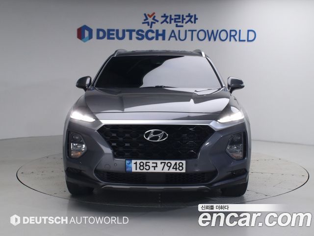 Hyundai Santa Fe (TM) Diesel 2.0 2WD Exclusive 2019 — фото 3