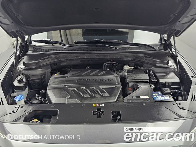 Hyundai Santa Fe (TM) Diesel 2.0 2WD Exclusive 2019 — фото 6