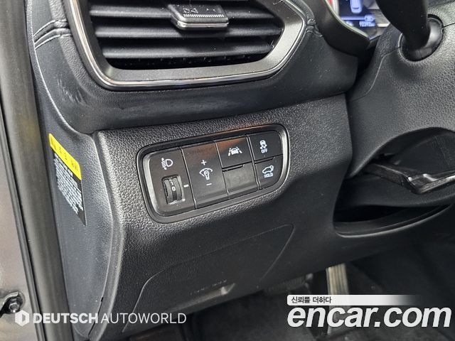Hyundai Santa Fe (TM) Diesel 2.0 2WD Exclusive 2019 — фото 21