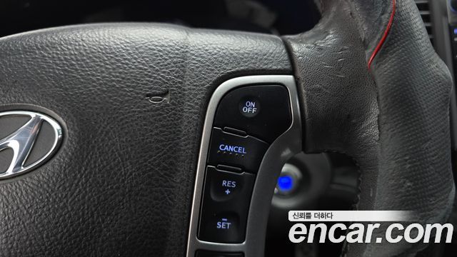 Hyundai Santa Fe (CM) 4WD(2.2 e-VGT) MLX Luxury 2012 — фото 16