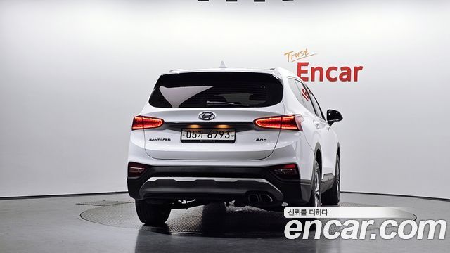 Hyundai Santa Fe (TM) Diesel 2.0 2WD Premium 2019 — фото 4
