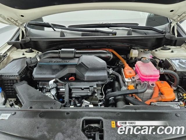 Kia Sportage Hybrid (V) Nobleless 2WD 2022 — фото 5