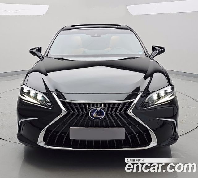 Lexus ES300h (VII) Executive