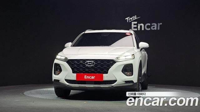 Hyundai Santa Fe (TM) Diesel 2.0 2WD Exclusive 2019 — фото 3