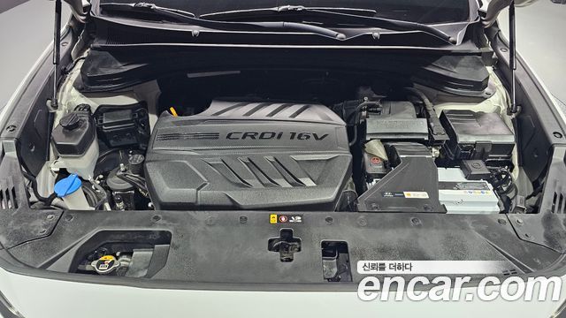 Hyundai Santa Fe (TM) Diesel 2.0 2WD Exclusive 2019 — фото 6