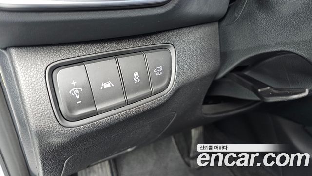 Hyundai Santa Fe (TM) Diesel 2.0 2WD Exclusive 2019 — фото 11